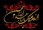 اعمال ماه محرم : «برای دوستداران خاندان پیامبر (ص) شایسته است که در دهه اول این ماه در قلب و ظاهرشان آثار حزن و اندوه هویدا باشد و بعضی از لذت‌های حلال را به ویژه در نهم، دهم و یازدهم این ماه ترک کنند، به مانند کسی که داغدار عزیزانش است؛ و در دهه اول این ماه هر روز امامشان را با زیارت عاشورا یاد کنند.»
