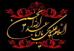 اعمال ماه محرم : «برای دوستداران خاندان پیامبر (ص) شایسته است که در دهه اول این ماه در قلب و ظاهرشان آثار حزن و اندوه هویدا باشد و بعضی از لذت‌های حلال را به ویژه در نهم، دهم و یازدهم این ماه ترک کنند، به مانند کسی که داغدار عزیزانش است؛ و در دهه اول این ماه هر روز امامشان را با زیارت عاشورا یاد کنند.»