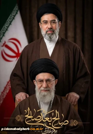 ✨صالح بعد صالح✨
چه مبارک سحری بود و چه فرخنده شبی
آن شب قدر که این تازه‌ براتم دادند.