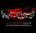 السلام علیک یا أباعبدالله و علی الارواح التی حلت بفنائک علیکم منی جمیعا سلام الله أبدا مابقیت و بقی  اللیل و النهار ولاجعله الله آخر العهد منی لزیارتکم السلام علی الحسین و علی علی بن الحسین و علی أولاد الحسین و علی أصحاب الحسین.