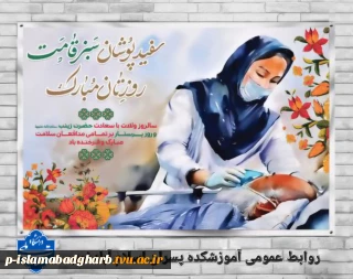 کربلا شهریست ای دل شهریارش زینب است